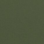 S.A. Self Defense Holster Color Ranger Olive Green for Holsters and EDC tray