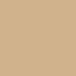 S.A. Self Defense Handle Grip Background Color Desert Tan