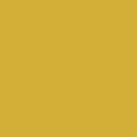 S.A. Self Defense Handle Grip Background Color Gold