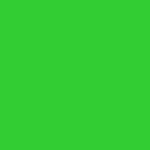 S.A. Self Defense Handle Grip Background Color Lime Green