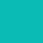 S.A. Self Defense Handle Grip Background Color Tiffany Blue